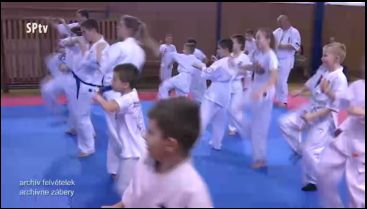 SPORT Online Karate